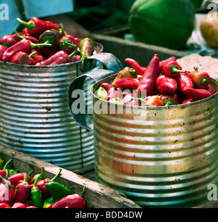 I peperoncini freschi per la vendita su un mercato a Cuba. Foto Stock