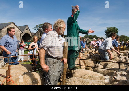 Priddy Sheep Fair Somerset The Mendip Hills UK . Auctioneer che fa una vendita alla fiera annuale tradizionale delle pecore. HOMER SYKES 2000 Foto Stock