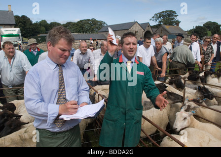 Priddy Sheep Fair Auctioneer e assistente Somerset UK 2000 una vendita che prende un'offerta penne di pecora e di folla Di coltivatori 2009 OMERO SYKES Foto Stock