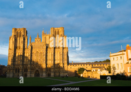 Cattedrale di Wells Somerset in Inghilterra. Cattedrale verde. HOMER SYKES Foto Stock