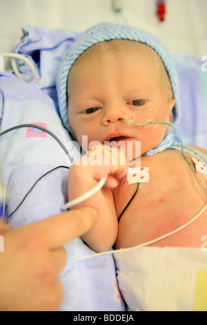 Un ora di bambino è toccato dalla sua mamma in un incubatore. Modello rilasciato Foto Stock