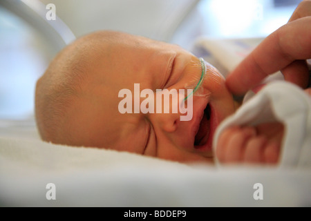 NEONATO, INCUBATRICE, PIANTO: Un neonato di cinque giorni piange in un incubatrice e sua madre lo ferma attraverso una finestra. Modello rilasciato Foto Stock