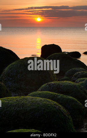 Alga verde rocce coperte sulla spiaggia a Hunstanton Norfolk, stratificato con il cielo al tramonto. Foto Stock