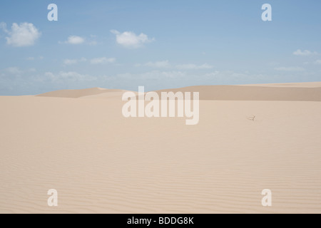 Vista sulle dune e lagune dei Lençois Maranhenses in Brasile Foto Stock