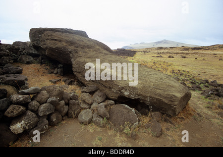 Rovesciato Moai statua, sdraiato a faccia in giù a Ahu Te Pito te Kura, Isola di Pasqua. Foto Stock