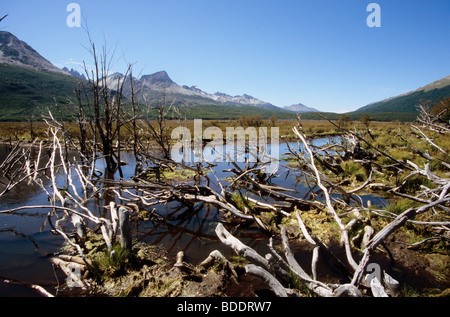 Paesaggio di montagna a nord di Ushuaia, Tierra del Fuego, Argentina. Foto Stock