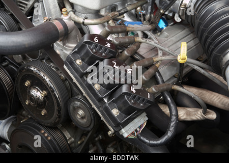 La bobina di accensione pack e dei fili di alimentazione delle candele di accensione su un australiano Holden motore V6 utilizzato per il motorsport Foto Stock