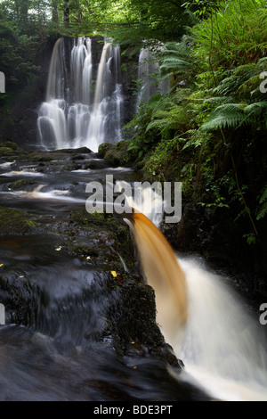 Ess-na-crub cascata sull'inver nel fiume Glenariff Forest Park nella contea di Antrim Irlanda del Nord Regno Unito Foto Stock