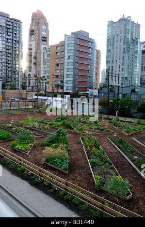 Spiaggia Avenue, Vancouver, British Columbia, Canada, riparto giardini, grattacieli urbano giardino vegetale Foto Stock