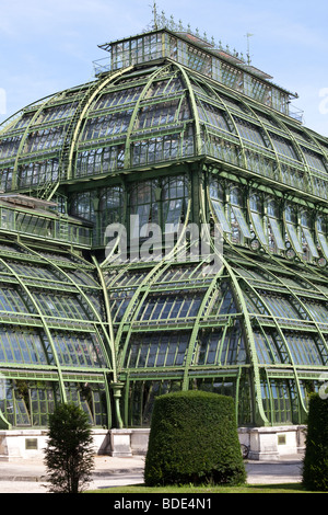 La casa delle palme, Palazzo di Schönbrunn Vienna, Austria Foto Stock