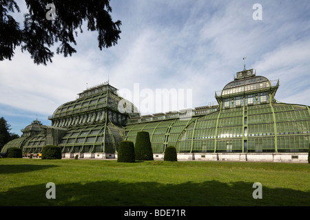 La casa delle palme, Palazzo di Schönbrunn Vienna, Austria Foto Stock