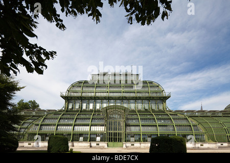 La casa delle palme, Palazzo di Schönbrunn Vienna, Austria Foto Stock