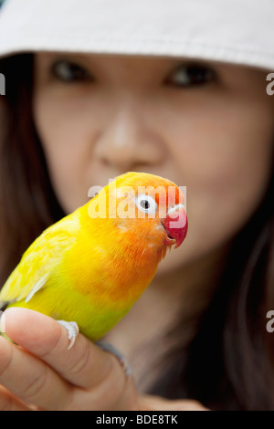 Uccello appollaiato sul dito womans Bird Market, Mong Kok di Hong Kong, Cina. Foto Stock