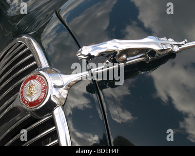 Chiusura del cofano badge e mascotte su un British Racing Green 3,8 litro Jaguar Mark 2 berlina Foto Stock