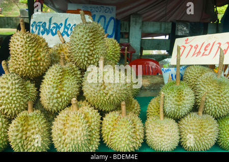 Durian esotiche per la vendita su un mercato a Bangkok in Tailandia Foto Stock