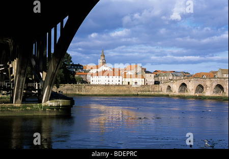 Berwick Bridge visto da sotto il Royal Tweed Ponte a Berwick-upon-Tweed Foto Stock