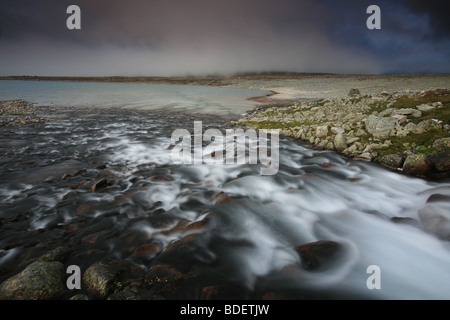 Flusso di fiume vicino Snøheim, in Dovrefjell national park, Norvegia. Foto Stock