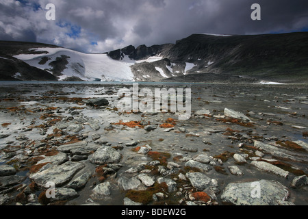 Terreno roccioso sotto la montagna Snøhetta, 2286 m, in Dovrefjell national park, Norvegia. Foto Stock