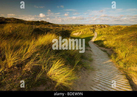 Passerella di legno che corre attraverso le dune di sabbia a Braunton Burrows in North Devon Regno Unito Foto Stock