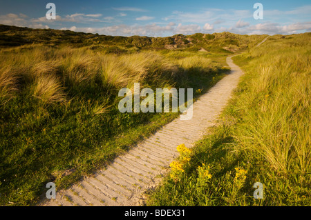 Passerella di legno che corre attraverso le dune di sabbia a Braunton Burrows in North Devon Regno Unito Foto Stock