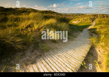 Passerella di legno che corre attraverso le dune di sabbia a Braunton Burrows in North Devon Regno Unito Foto Stock