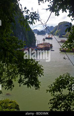 Vista dall'alto la bocca della Hai Phong grotta sopra le isole della baia di Ha Long, Vietnam Foto Stock