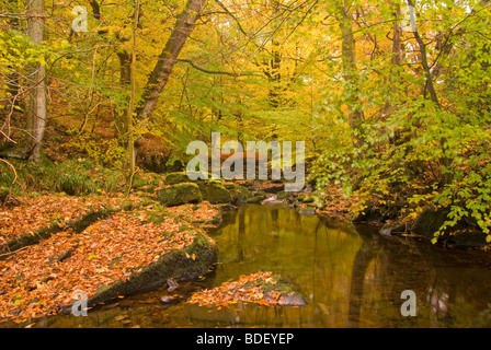 Un flusso in Wharfedale Yorkshire Inghilterra Foto Stock