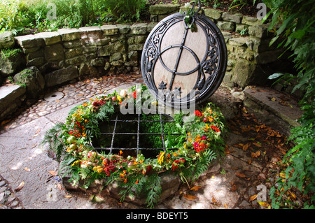 Giardini del Pozzo del Calice Glastonbury Somerset England Regno Unito Foto Stock