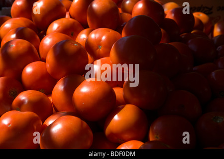 I pomodori in vendita presso uno stand in unione Greenmarket Square a New York Foto Stock