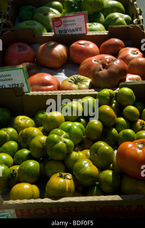 Cimelio di pomodori in vendita presso uno stand in unione Greenmarket Square a New York Foto Stock