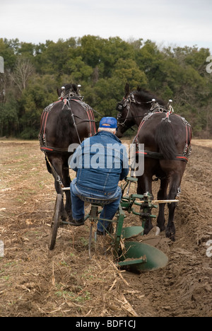 Aratro annuale Days Festival a Dudley Farm Historic State Park, Newberry, Florida--Registro Nazionale dei Luoghi Storici. Foto Stock