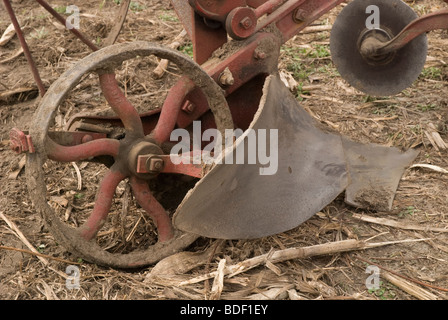 Aratro annuale Days Festival a Dudley Farm Historic State Park, Newberry, Florida--Registro Nazionale dei Luoghi Storici. Foto Stock