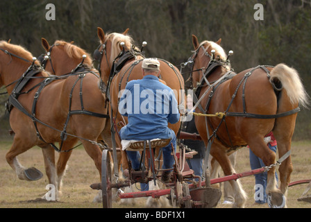 Aratro annuale Days Festival a Dudley Farm Historic State Park, Newberry, Florida--Registro Nazionale dei Luoghi Storici. Foto Stock