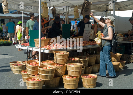 I clienti presso gli agricoltori' sorge nell'Unione Greenmarket Square a New York Sabato, Agosto 15, 2009. (© Richard B. Levine) Foto Stock