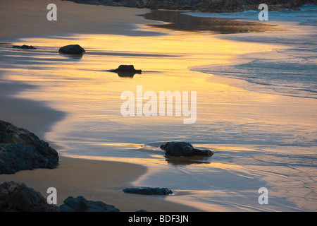 Tramonto sulla spiaggia vuota Fuerteventura Isole Canarie Spagna Foto Stock