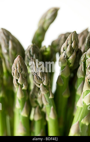 Gli stocchi di asparagi contro uno sfondo bianco Foto Stock