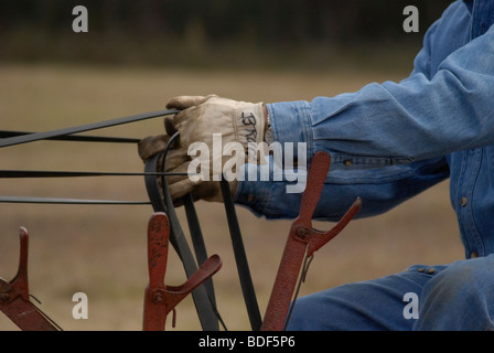 Aratro annuale Days Festival a Dudley Farm Historic State Park, Newberry, Florida--Registro Nazionale dei Luoghi Storici. Foto Stock