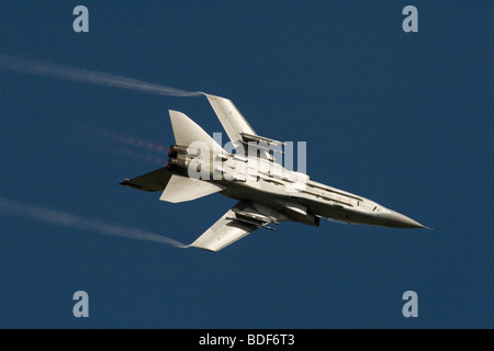 Panavia Tornado F3 di 111 Squadrone Foto Stock