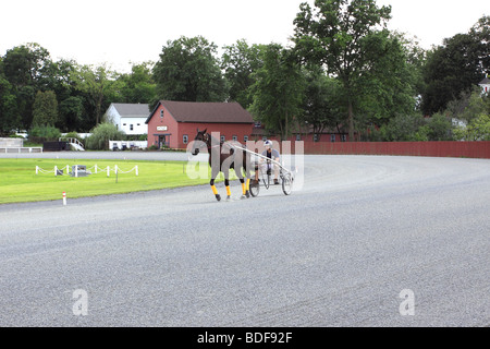 Cablaggio del cavallo da corsa essendo addestrato, storica pista, Gosen, NY Foto Stock