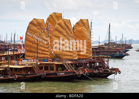 Stile cinese su giunche a salpare attorno a Halong Bay in Vietnam del nord Foto Stock