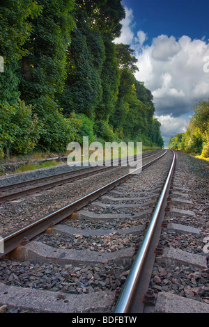 Binario ferroviario dal punto di vista basso scomparendo all'infinito Foto Stock