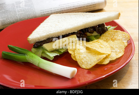 Panino del sottaceto Foto Stock