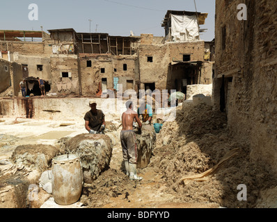 I lavoratori di una conceria al souk della medina di Fes/Fez sono illustrati il 19 agosto 2009 in Marocco in nord Africa. Foto Stock