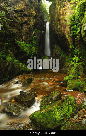 Dungeon Ghyll vigore la cascata nel grande Langdale nel Lake District inglese Foto Stock