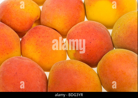 Fresche albicocche francese ritaglio sfondo bianco studio shot cibi dolci di frutta fresca rosso arancio giallo appena pur molti multi molto alcuni Foto Stock