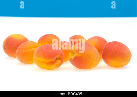 Fresche albicocche francese ritaglio sfondo bianco studio shot cibi dolci di frutta fresca rosso arancio giallo appena pur molti multi molto alcuni Foto Stock