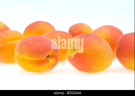 Fresche albicocche francese ritaglio sfondo bianco studio shot cibi dolci di frutta fresca rosso arancio giallo appena pur molti multi molto alcuni Foto Stock