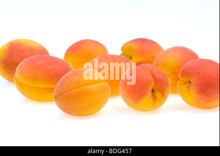 Fresche albicocche francese ritaglio sfondo bianco studio shot cibi dolci di frutta fresca rosso arancio giallo appena pur molti multi molto alcuni Foto Stock