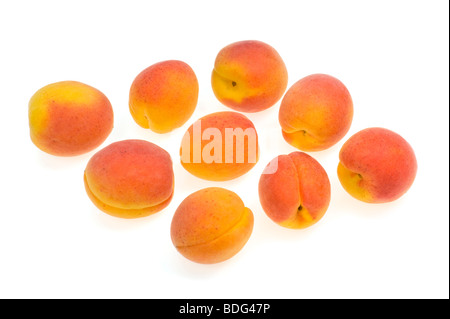 Fresche albicocche francese ritaglio sfondo bianco studio shot cibi dolci di frutta fresca rosso arancio giallo appena pur molti multi molto alcuni Foto Stock