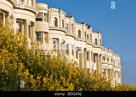 Architettura Regency in Brighton. Brunswick Square, Brighton e Hove, Sussex, England, Regno Unito Foto Stock